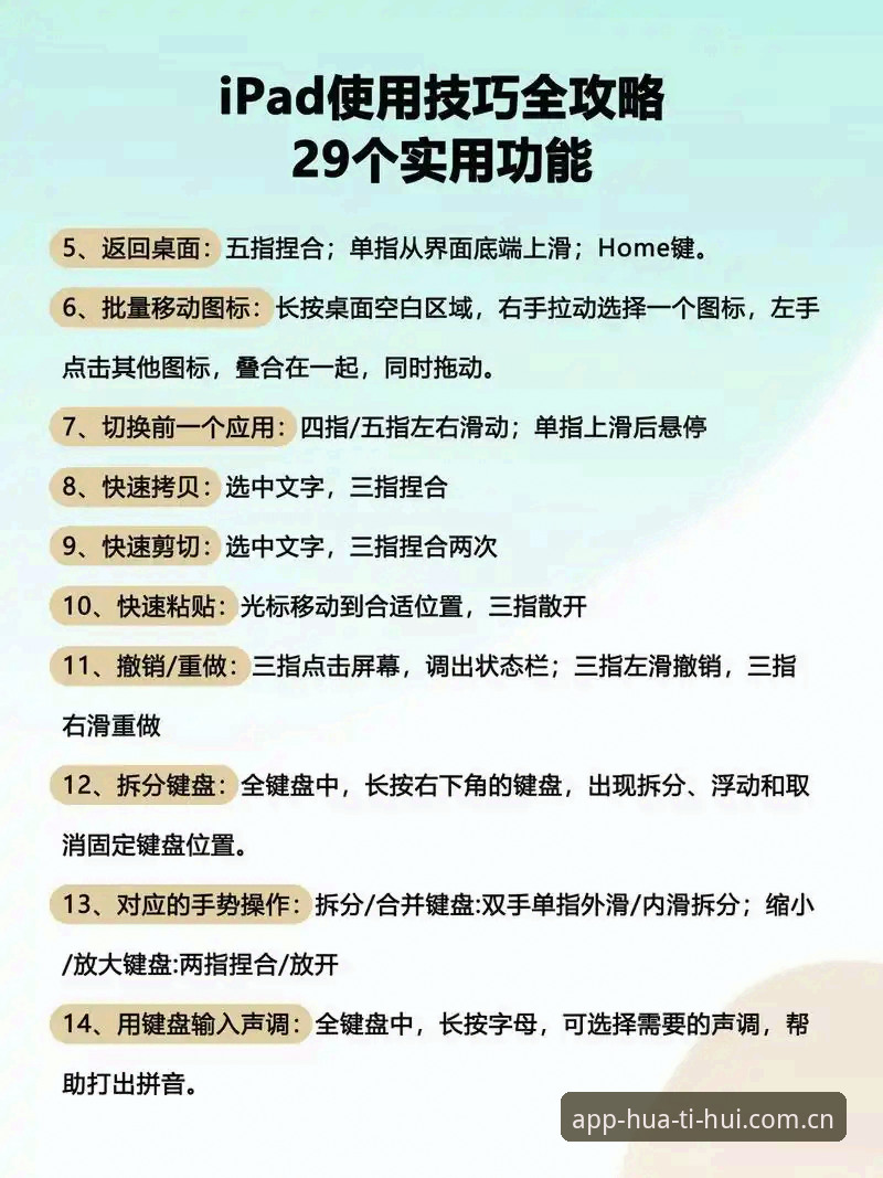 华体会平台新手到高手进阶指南：完整使用技巧与经验分享